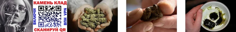 ГАШ Cannabis Иннополис