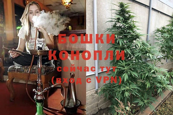 apvp Нея