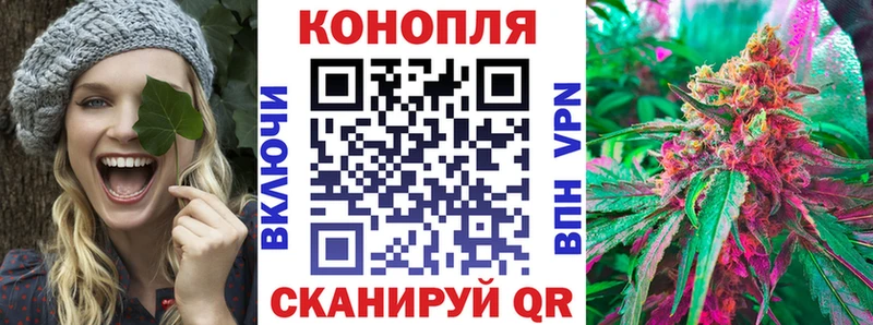 mega ссылки Иннополис Бошки Шишки семена